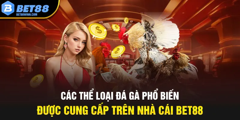Các thể loại đá gà phổ biến được cung cấp trên nhà cái Bet88