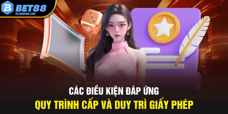 Các điều kiện đáp ứng quy trình cấp và duy trì giấy phép