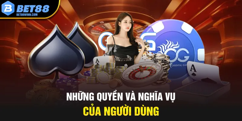 Những quyền và nghĩa vụ của người dùng