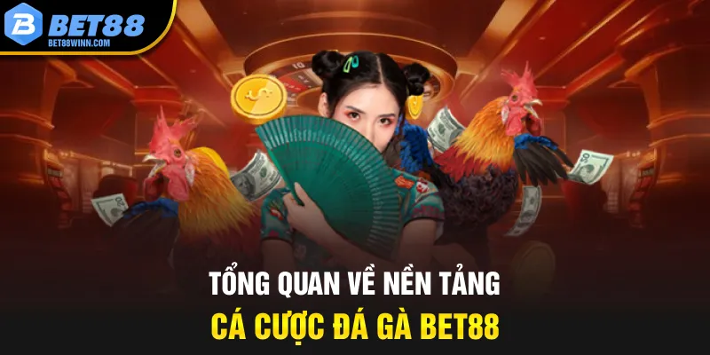 Tổng quan về nền tảng cá cược đá gà trực tuyến