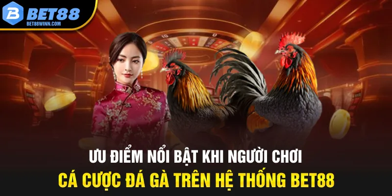 Ưu điểm nổi bật khi người chơi cá cược đá gà trên hệ thống Bet88